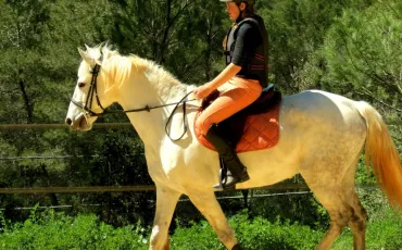 Quiz Galop 1