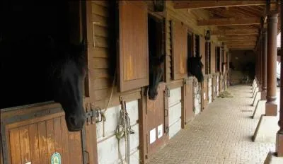 Qu'est-ce qu'un box ?