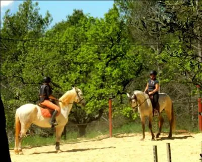 Vrai ou faux : la priorité est à main gauche