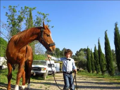 On doit tenir un cheval... .