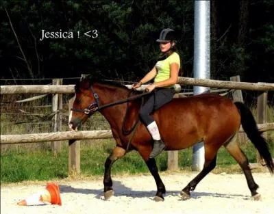 Quelle est cette robe ?