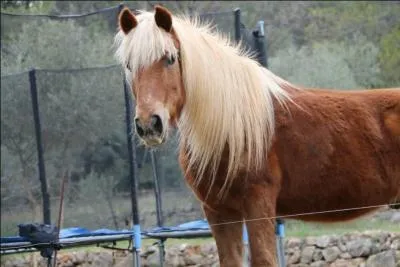 Et là ? Qu'est-ce qu'il veut dire ?