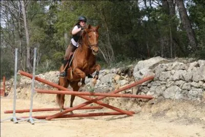 Laquelle de ces disciplines n'existe pas ?