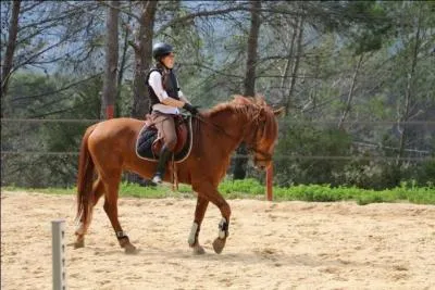 Quelle allure est-ce ?