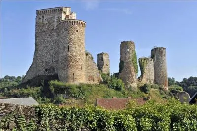 Le dpartement de l'Allier n'est pas limitrophe de celui :