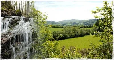 De ces quatre dpartements, lequel n'est pas limitrophe de celui du Tarn ?