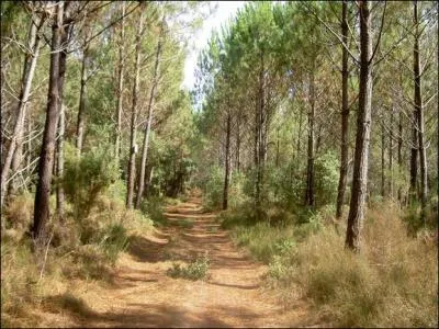 Quel dpartement ne pourrez-vous rejoindre sans tre oblig de passer par un autre  partir de celui des Landes ?