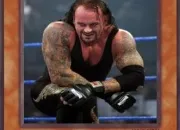 Quiz Wwe catcheurs en cartes yu-gi-oh