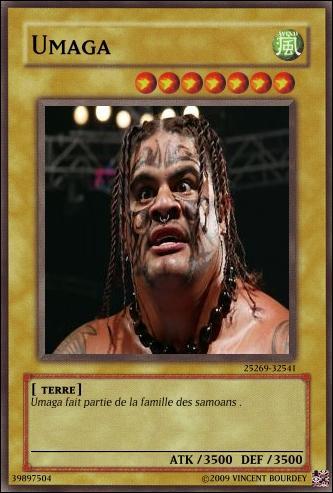 Qui est ce catcheur ?