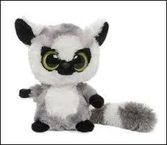 Comment s'appelle-t-il ?