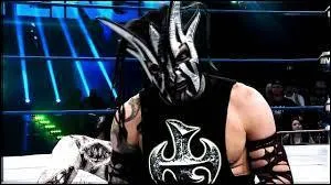 Quel est le nom actuel de Jeff Hardy  la TNA ?