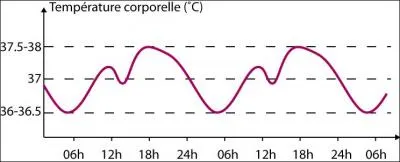 Comment les tortues conservent-elles leur temprature corporelle ?