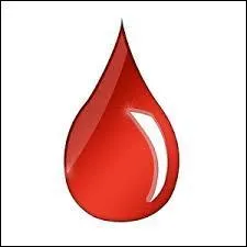 Comment les tortues procdent-elles pour conserver une bonne temprature corporelle, puisqu'il s'agit d'un animal  sang froid ?