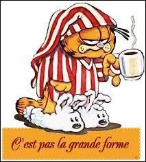 Quelle expression idiomatique anglaise correspond la mieux avec l'image ? Indice : Pas dans mon assiette.