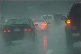 Quelle expression idiomatique anglaise correspond la mieux avec l'image ? Indice : C'est un temps de chien.