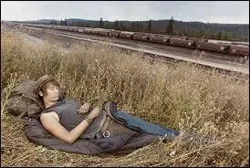 Quel proverbe correspond le mieux avec l'image ? Indice : Qui ne risque rien, n'a rien.