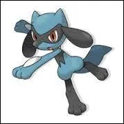O habite Riolu ?