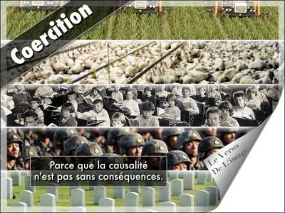 Quelle est la bonne définition de l'expression "coercition sociale" ?
