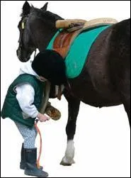 Pour monter, sous la selle il faut :