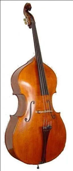 Europe : le plus grand et le plus grave des instruments de la famille des cordes frottes. Avec la trompette et le saxophone, c'est l'instrument de prdilection des jazzmen !
