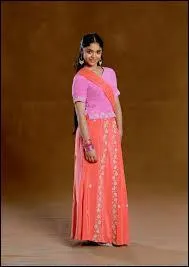 Qui a voulu inviter Hermione lors du bal ("Harry Potter et la Coupe de Feu") et qui finalement y est allé avec Padma Patil ?