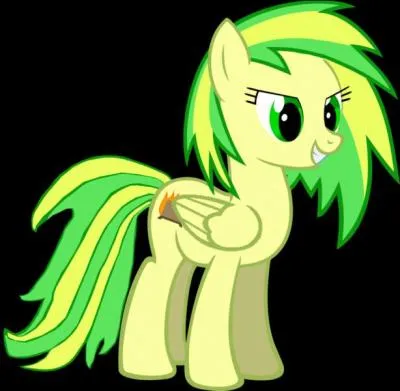 Cet OC appartient ...