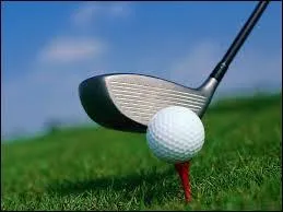 Ce sport est l'homonyme d'une voiture allemande que l'on trouve chez ...