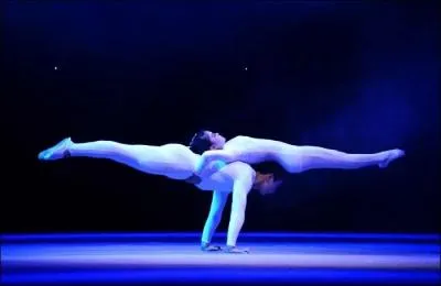 Les  Pavillons Noirs  entrent en rbellion contre les Franais jusqu'en 1916. Quelles socits secrtes y sont regroupes ?