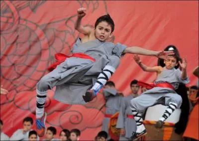 Quel art plusieurs socits secrtes, regroupes au sein du mouvement des Yi Ho Tuan (corps de la justice), pratiquaient-elles ?