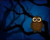 Hélène et Lucie, elles, sont ... honteuses d'avoir manqué de courage pendant la marche de nuit. Elles ont paniqué à cause d'une chouette.