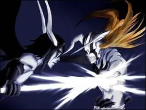 Quel est le but des combats d'Ichigo ?