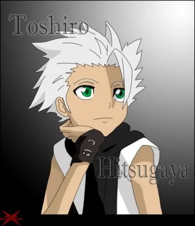 Lors du passage en Shikai du capitaine Toshiro Hitsugaya de la 10e division, un symbole est reli  Hirinmaru par une chane, Lequel ?