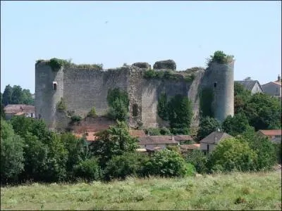 A Poitiers, que dsignait une pine ?