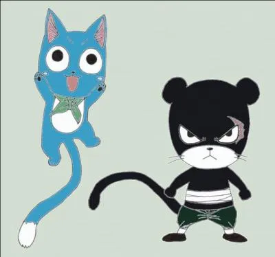 Qui est le chat de Natsu ?