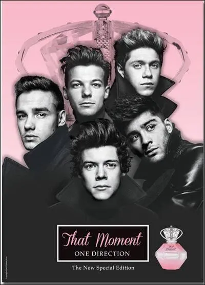 Comment s'appelle leur dernier album ?