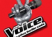 Quiz The Voice saison 1