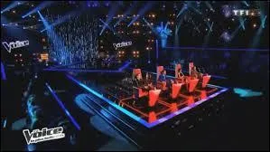 Comment s'appelle la premire tape de  The Voice  ?