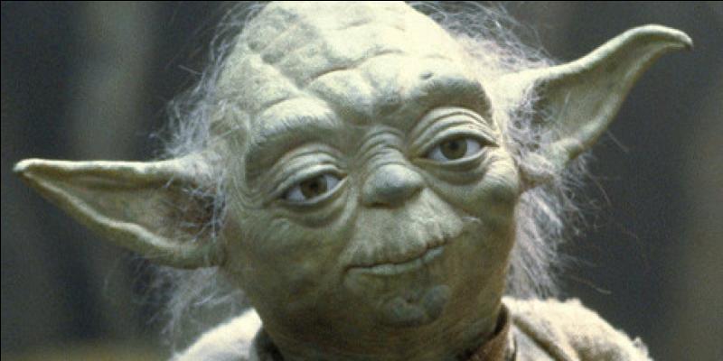 quel animal est yoda