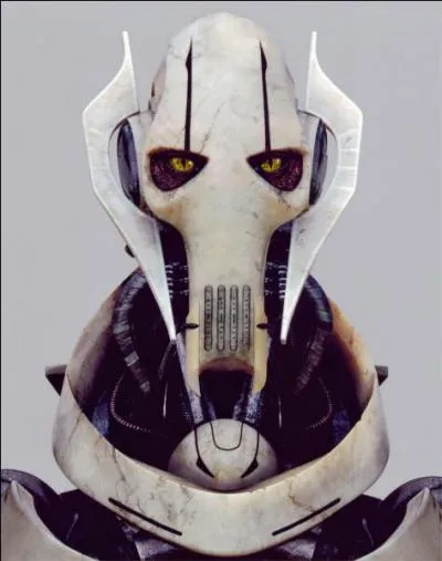 Combien a-t-il de bras ?