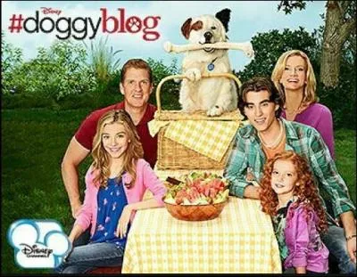 Dans "Doggyblog" c'est ...