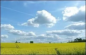 Quels nuages appelle-t-on "les nuages noctulescents" ?