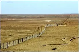 Où se trouve la "Dingo Fence" (la barrière à dingos) ?
