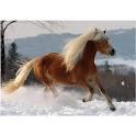 Quiz Galop 1