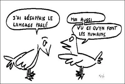 Dans le syndrome d'Asperger, lequel de ces domaines n'est pas touché ?