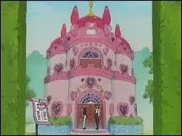 Le café Mew Mew est un café, mais aussi...