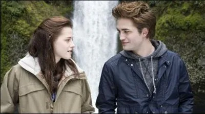 Comment se nomment les acteurs?