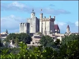 Ce château ducal, dit "le Duché", est emblématique de la ville :