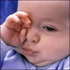 Quels sont les premiers signes repérables de cette première phase ?