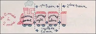 Quelles sont les phases de sommeil de l'enfant âgé de 0 à 2 mois ?