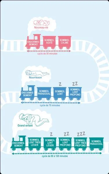 Quelles sont les phases de sommeil de l'enfant âgé de 2 mois à 9 mois ?